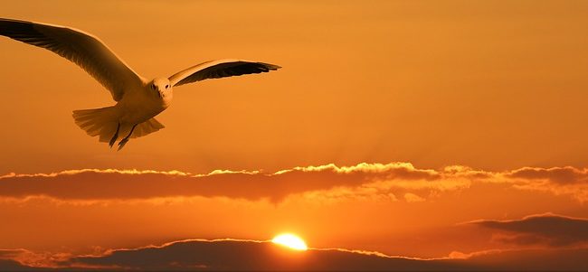 O que VOCÊ diria ao despertar pela manhã?