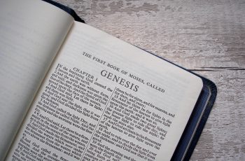 A salvação na teologia de Gênesis