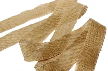 Parábola do cinto apodrecido